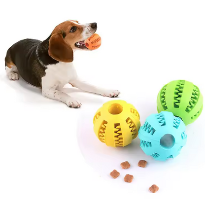 Balle de Jouet Interactive pour Chien | Distributeur de Friandises & Nettoyage Dentaire