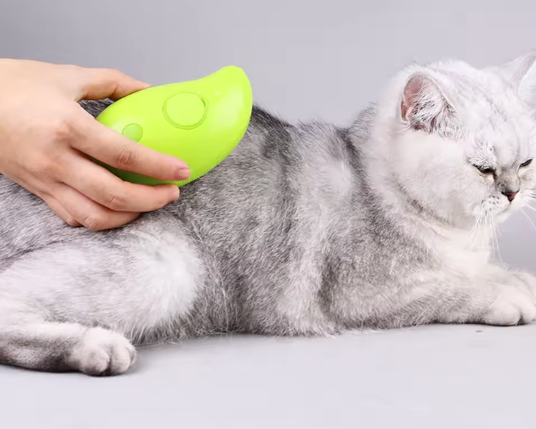 Brosse Vapeur Électrique 3-en-1 pour Animaux | Toilettage, Massage & Nettoyage