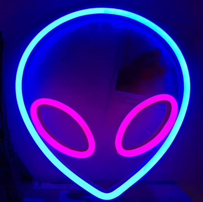 Lampe Néon Décorative LED | USB & Piles – Ambiance Fête, Chambre ou Cadeau