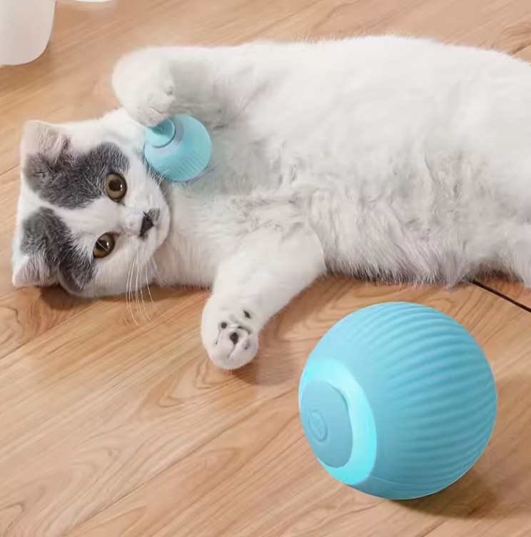 Balle Interactive Électrique pour Chat | Jouet Automatique Rechargeable