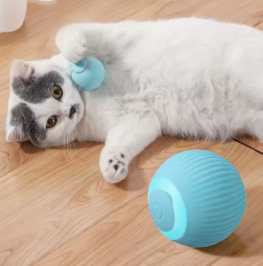 Balle Interactive Électrique pour Chat | Jouet Automatique Rechargeable