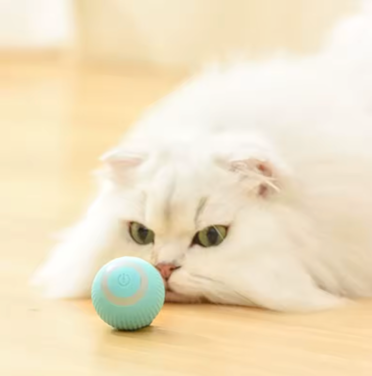 Balle Interactive Électrique pour Chat | Jouet Automatique Rechargeable