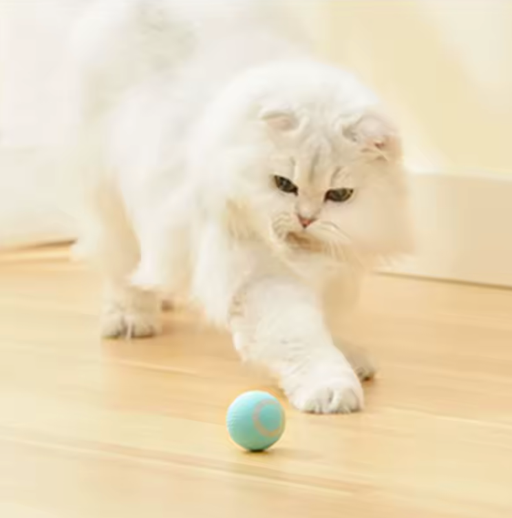 Balle Interactive Électrique pour Chat | Jouet Automatique Rechargeable