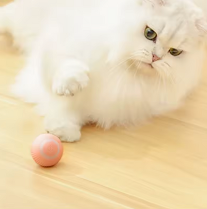 Balle Interactive Électrique pour Chat | Jouet Automatique Rechargeable