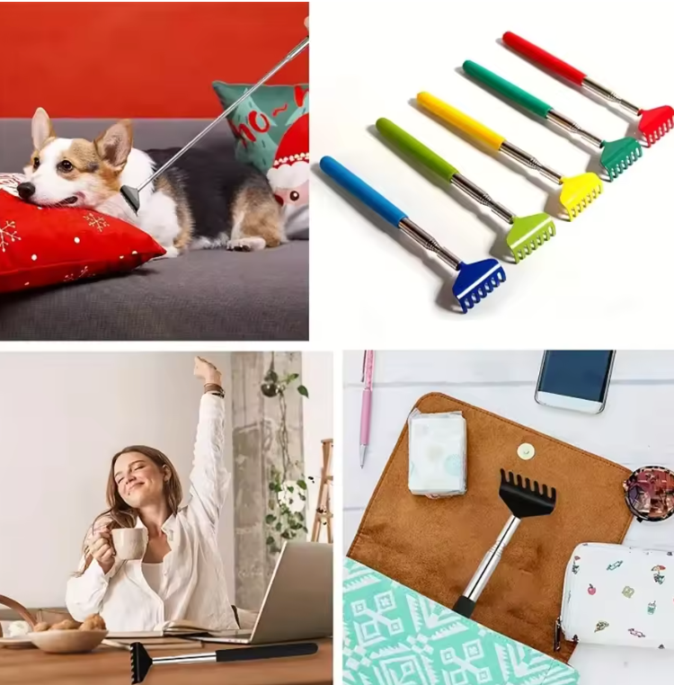 Grattoir de Dos Télescopique en Métal | Extensible & Portable