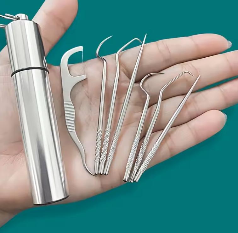 Ensemble de Cure-Dents Réutilisables | Porte-Clés & Kit de Nettoyage
