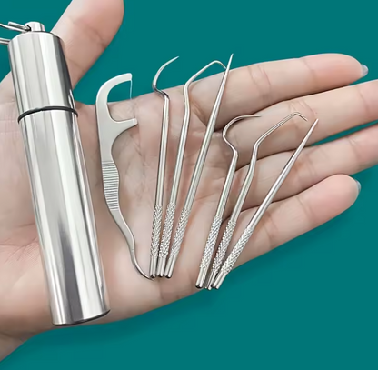 Ensemble de Cure-Dents Réutilisables | Porte-Clés & Kit de Nettoyage