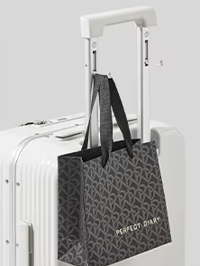 Mixi Valise à Cadre Aluminium & Roulettes | Cabine Premium avec Port USB & Support Téléphone